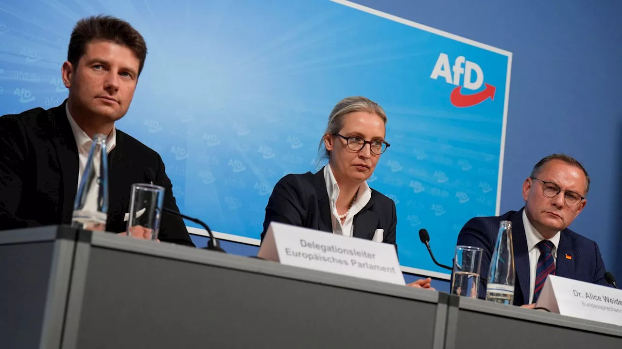 AfD gründet EU-Fraktion mit Rechtsextremisten und Russlandfreunden