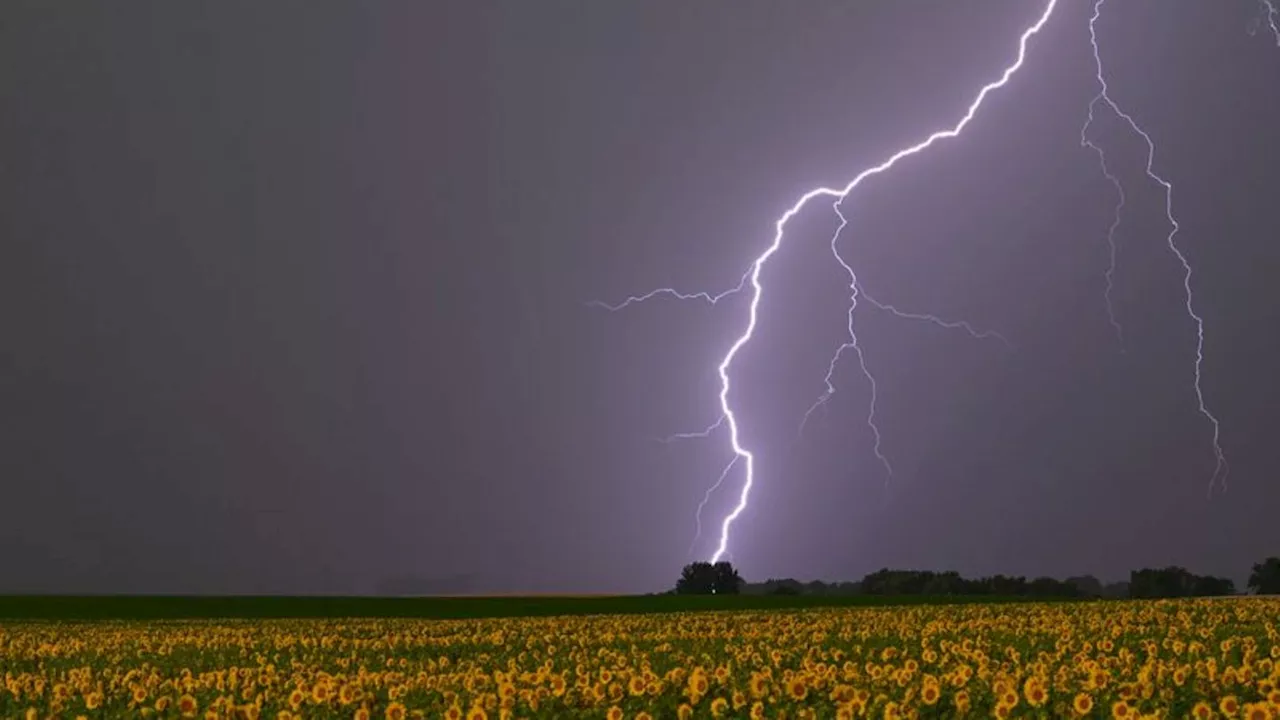 Wetter: Unwetter mit Starkregen in Berlin und Brandenburg erwartet