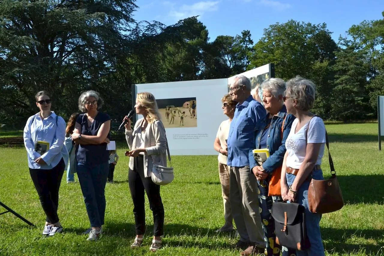 Gironde : l’exposition « Les Images des autres » raconte les histoires de famille des Mérignacais