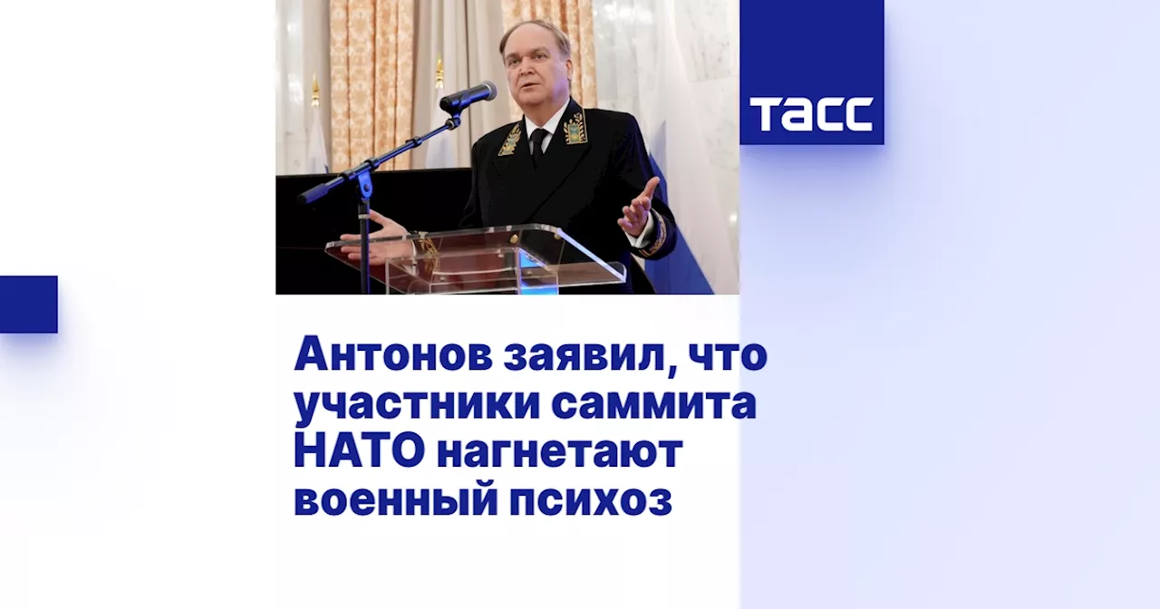 Антонов заявил, что участники саммита НАТО нагнетают военный психоз