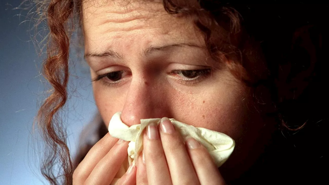 The 3 different types of hay fever, what each symptom means and how best to treat each one...