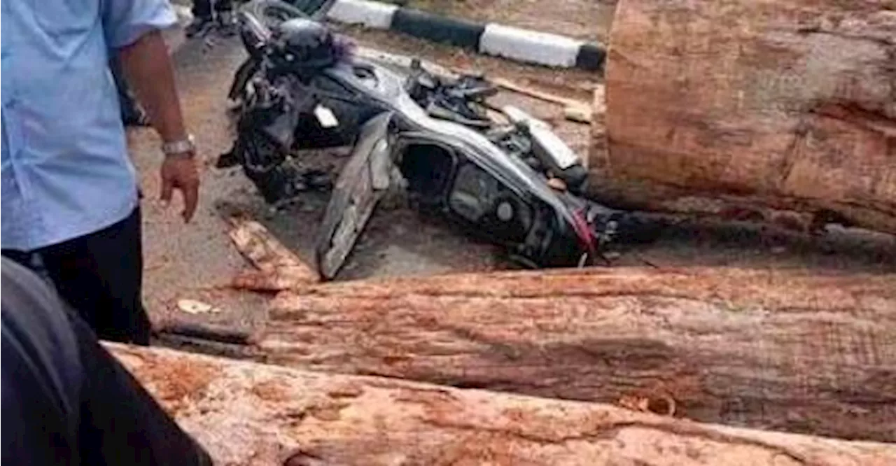 Woman crushed by logs in Gua Musang accident sedated