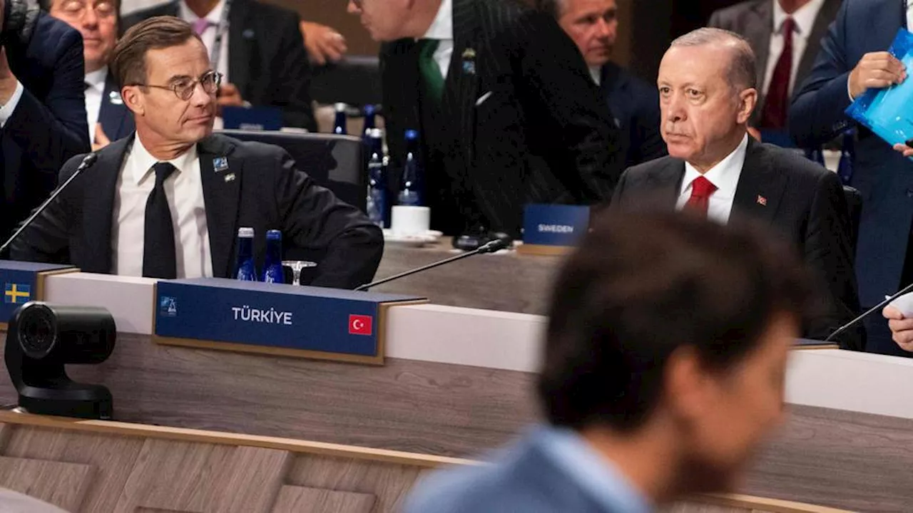 Türkiye leads Gaza diplomatic charge at NATO summit in US