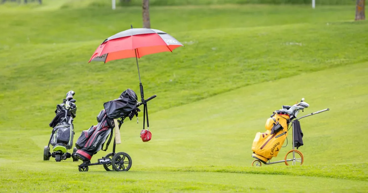 Golfer in Ehrwald verteidigte sich mit Schläger gegen Hund: Rauferei mit Herrchen