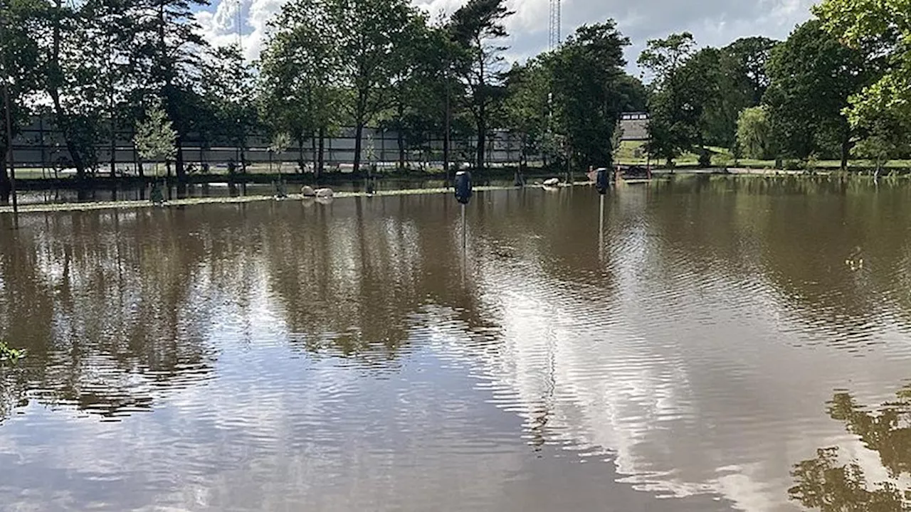 Planter og legeudstyr har det godt, efter ny park blev oversvømmet