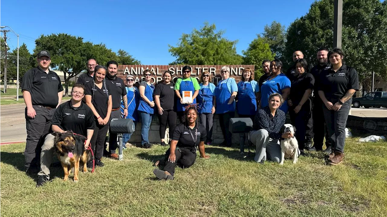 Mesquite Animal Shelter honored for high annual save rate by nonprofit