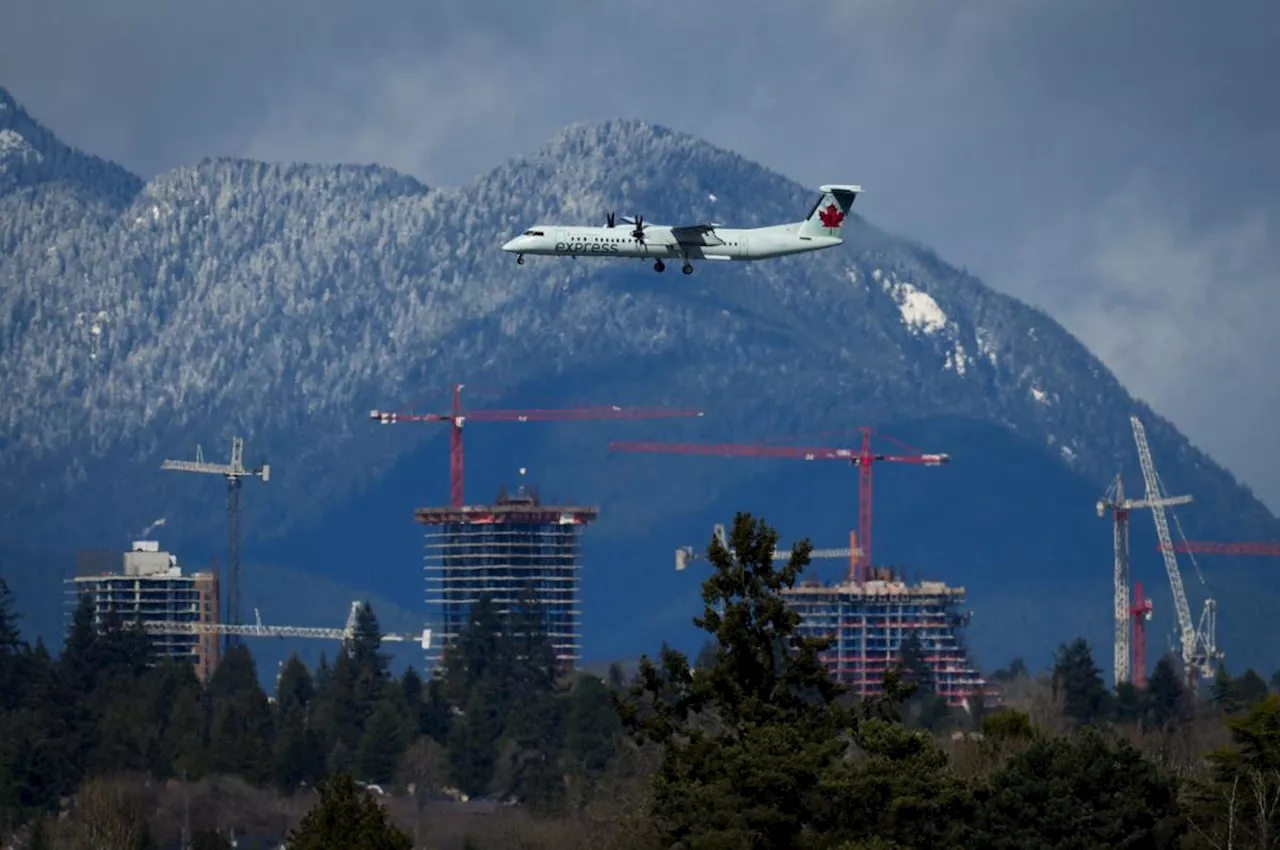 Eels writhe on Vancouver airport's tarmac after escaping from Air Canada cargo box