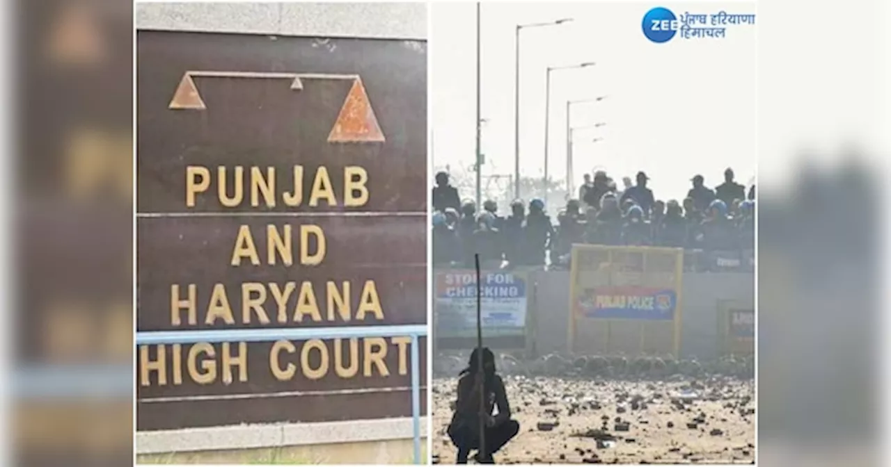 HC to Haryana Government: ਪੰਜਾਬ ਹਰਿਆਣਾ ਹਾਈਕੋਰਟ ਨੇ ਹਰਿਆਣਾ ਸਰਕਾਰ ਨੂੰ ਸ਼ੰਭੂ ਬਾਰਡਰ ਨੂੰ ਖੋਲ੍ਹਣ ਦੇ ਹੁਕਮ ਦਿੱਤੇ