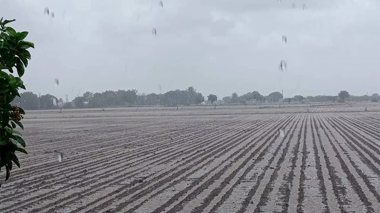 Monsoon Prediction: આ વર્ષે રાજ્યમાં બારેમેઘ ખાંગા થશે, વર્ષો જુની પરંપરા અનુસાર કરાઈ ભરપુર વરસાદની આગાહી