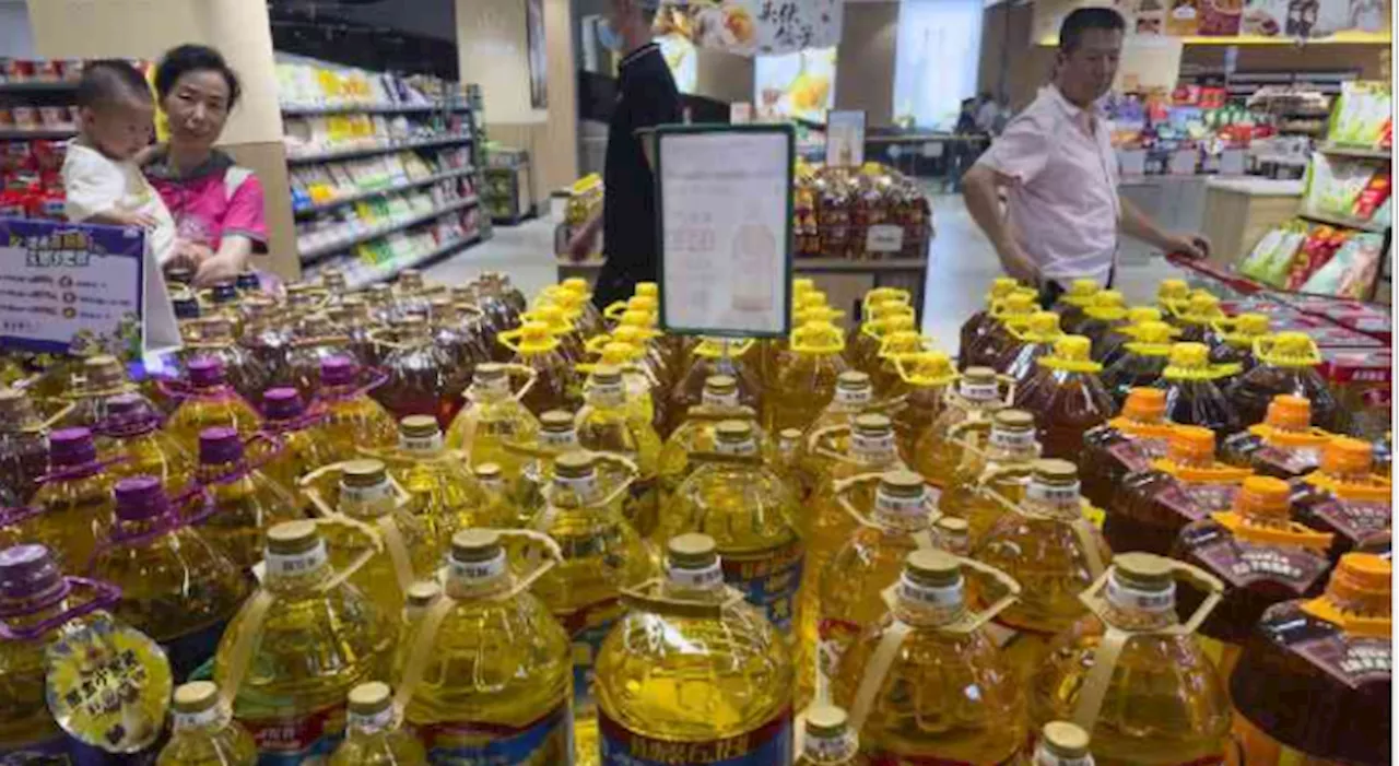 China cooking oil scandal stokes food safety fears