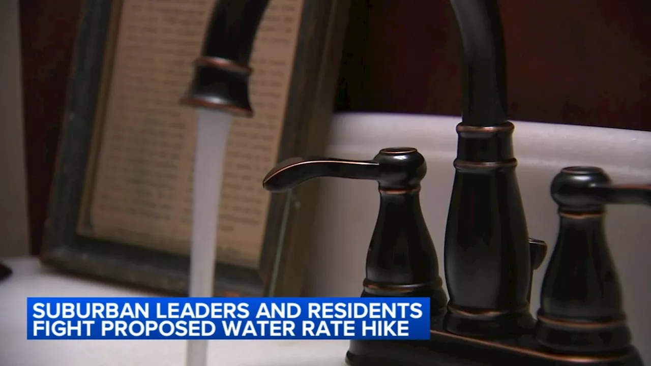 Customers fight Illinois American, Aqua Illinois rate hike request, say water bills already too high