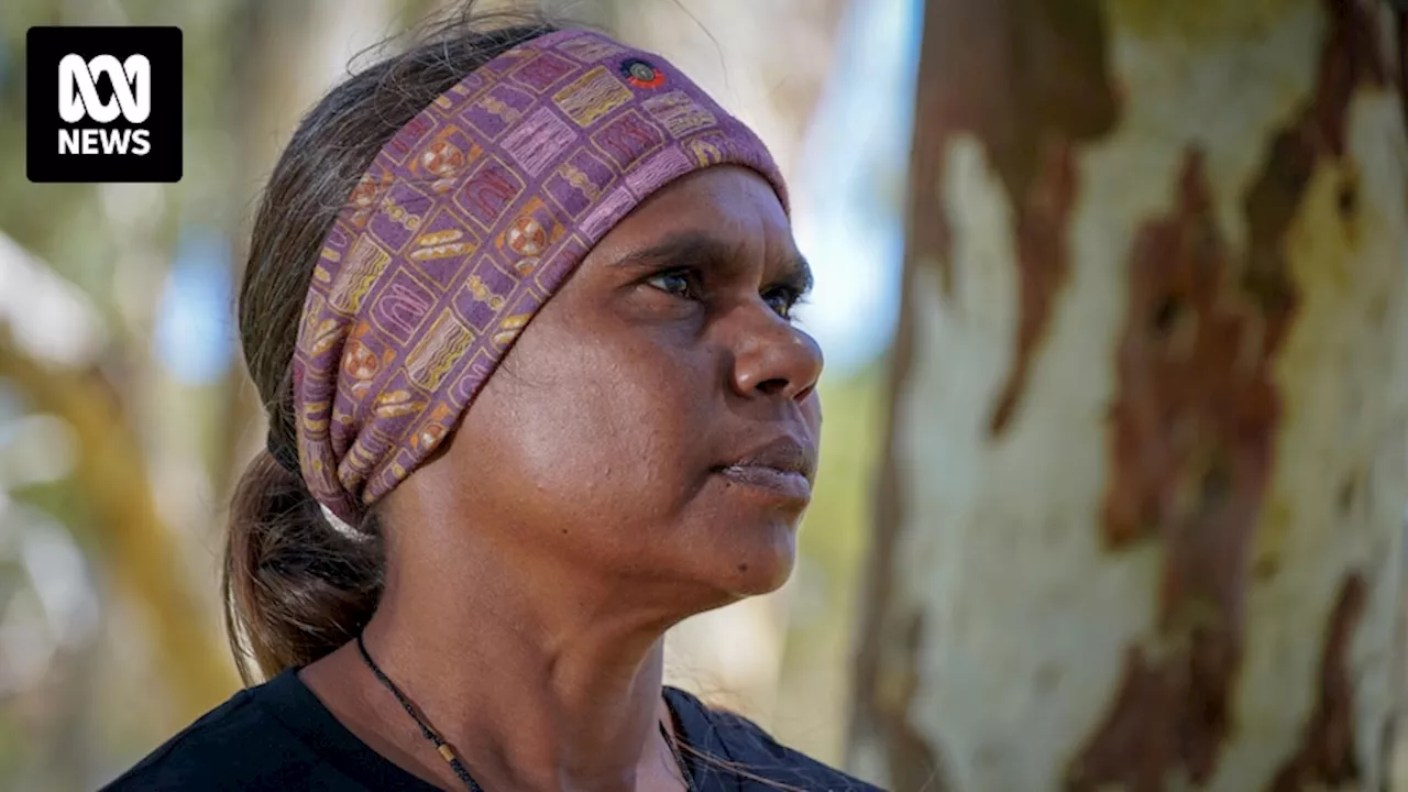 Alice Springs anti-violence campaigner says government must engage Indigenous leaders following curfew