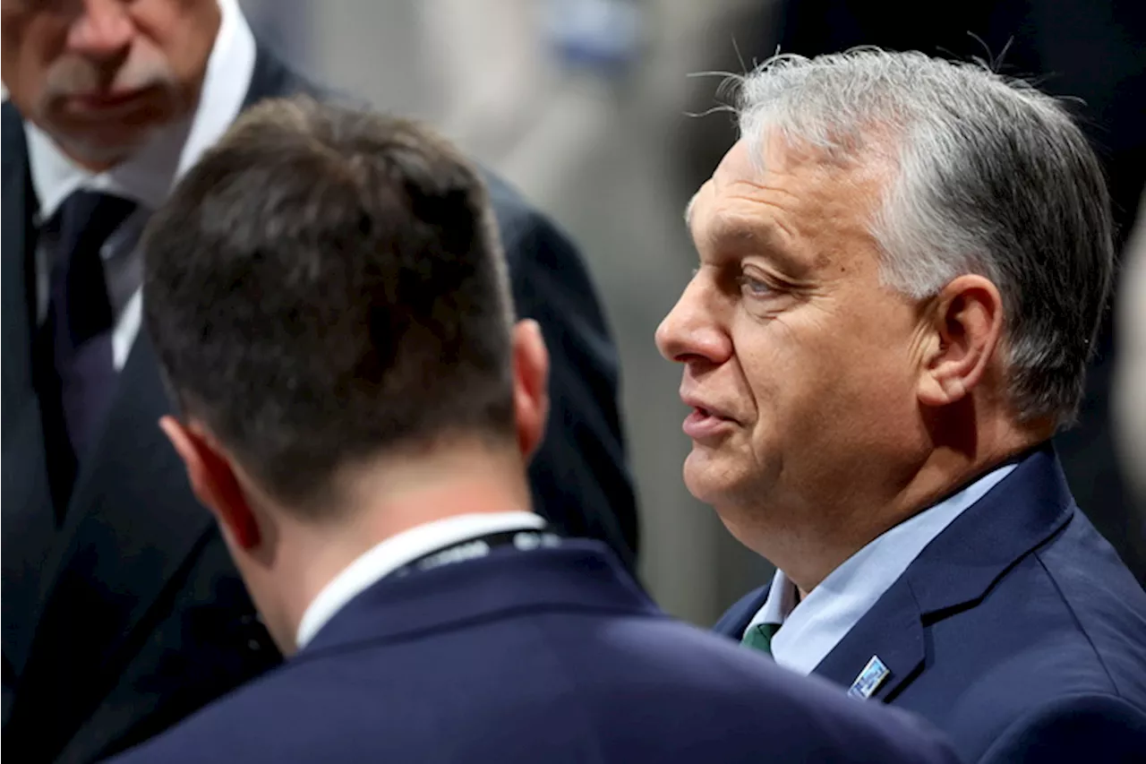 L'Ue valuta di sfilare ad Orban il Consiglio Esteri-Difesa