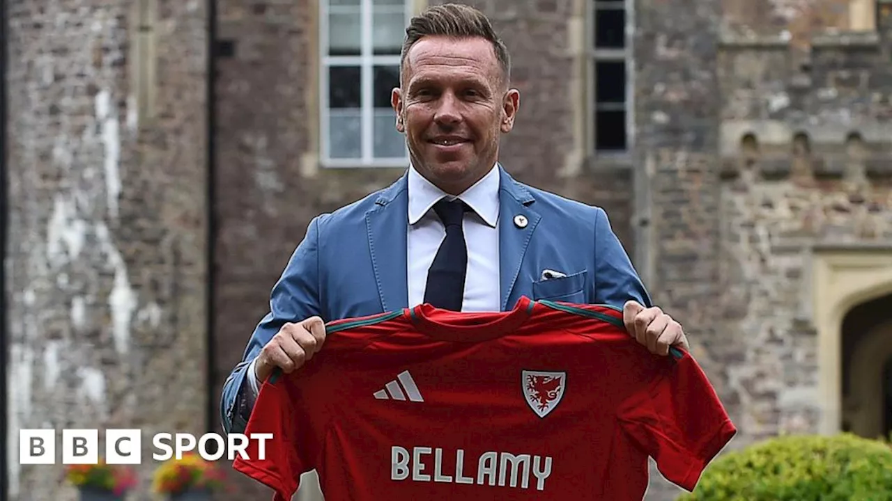 Wales job 'best in the world' - head coach Craig Bellamy