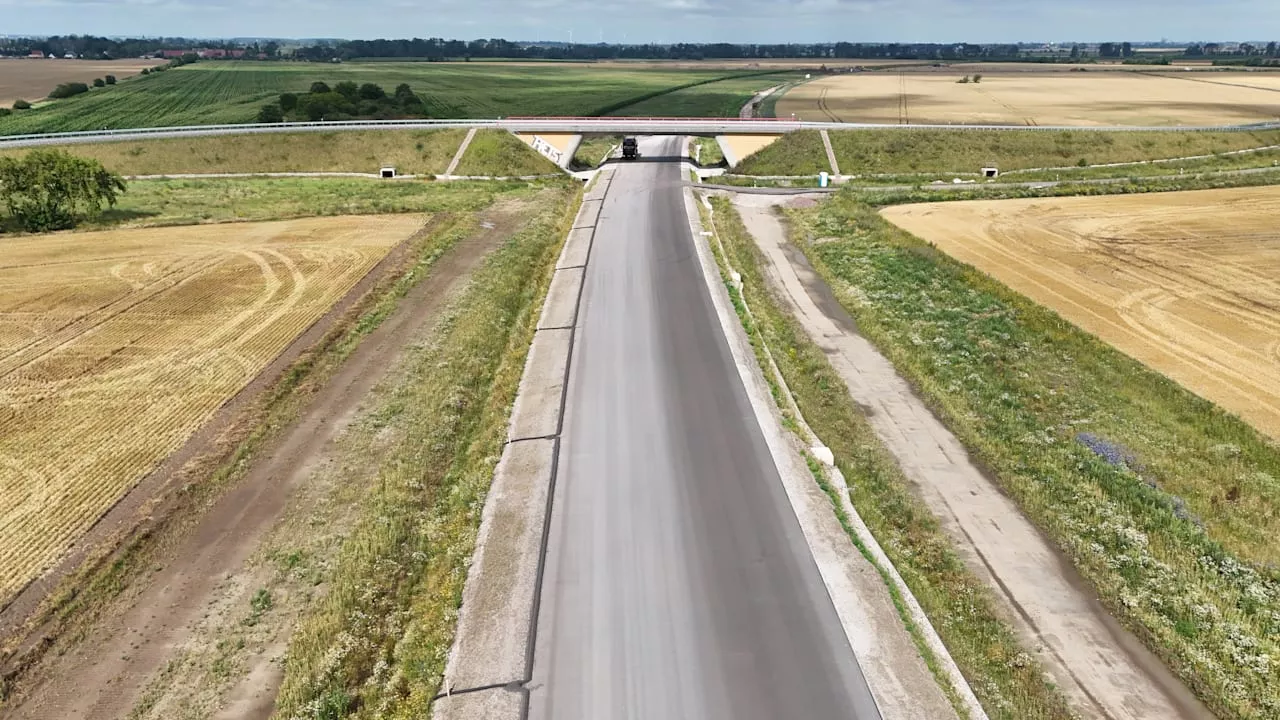 Was für ein Quak! 229 Kröten-Tunnel auf zehn Kilometer Straße