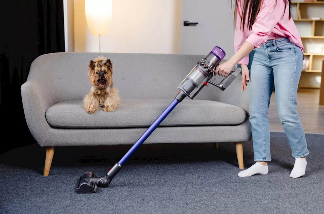 Reviewers Approve the Shark Rotator Lift-Away Upright Vacuum for Carpets and Hard Floors—Breathe Easy and Save Up to $150