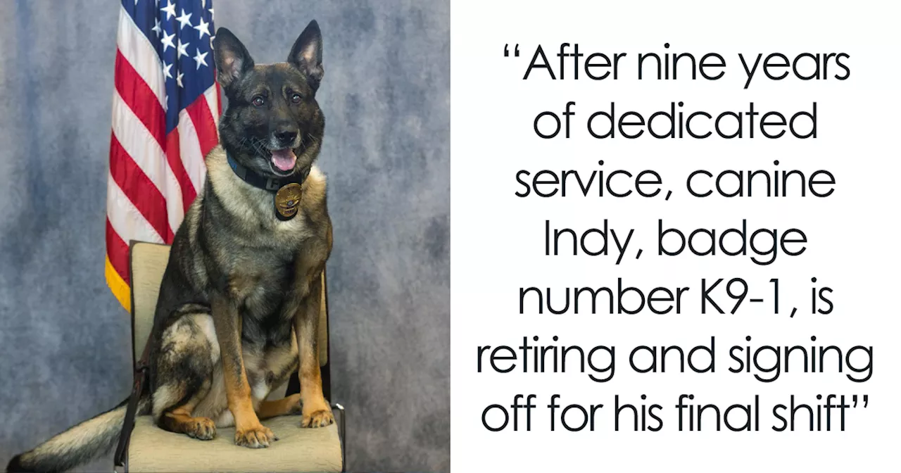 Police Dog Retires After Nearly A Decade Of Service, Heartwarming Video Is Spreading Online