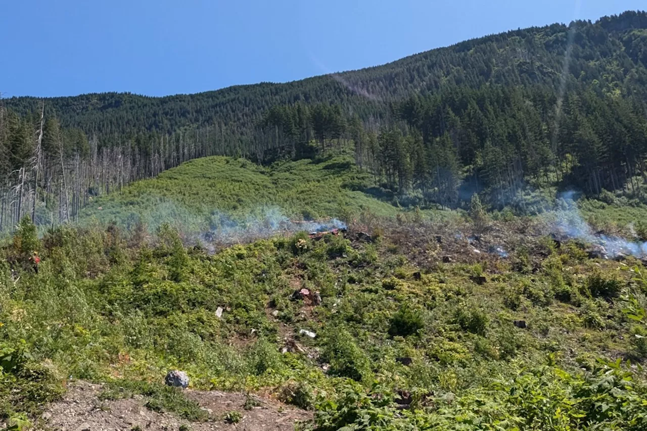 Out of control wildfire grows overnight near Harrison Lake