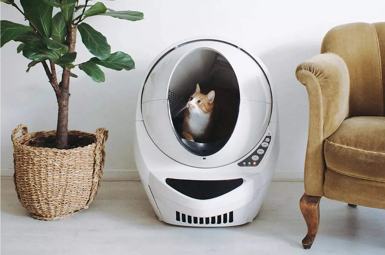 34 Things Anyone With Two Or More Cats May Want To Own