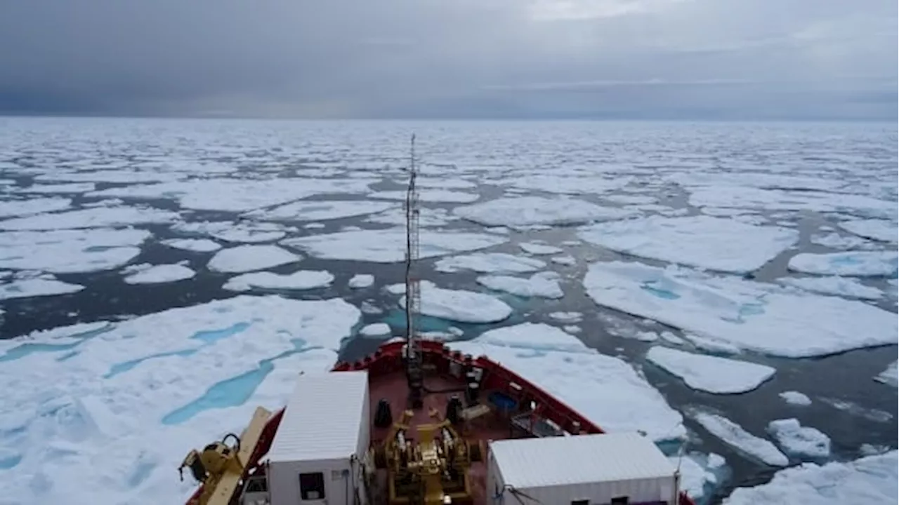 Melting sea ice was supposed to help Arctic shipping, but new research says otherwise