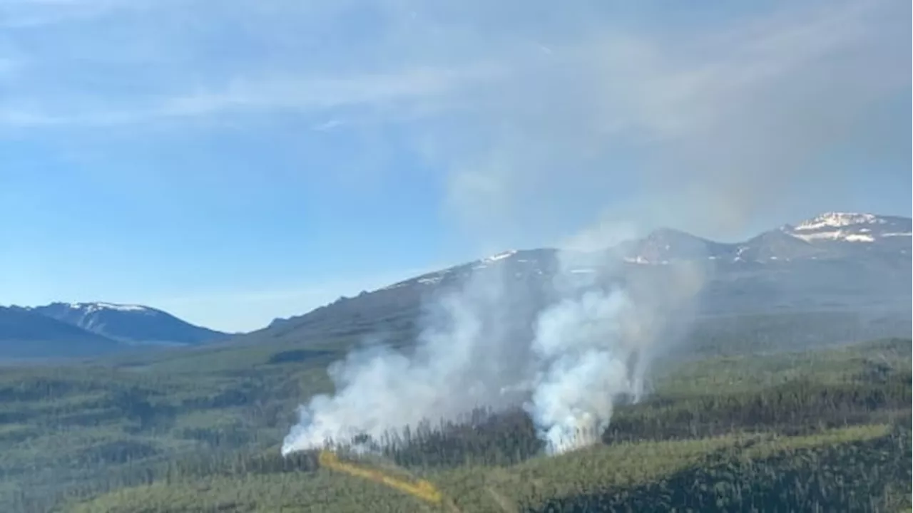 Over 300 properties on alert as dozens of new B.C. wildfires burn