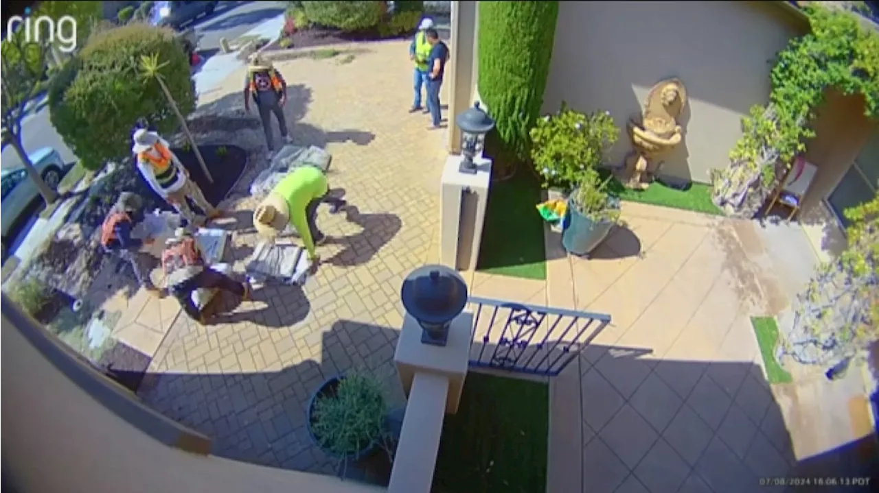 Torrey Highlands man out $2500 following alleged landscaping scam