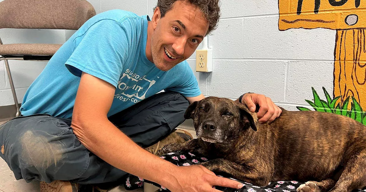 'Miracle' dog found alive over 40 feet down in Virginia cave, lured out by salami