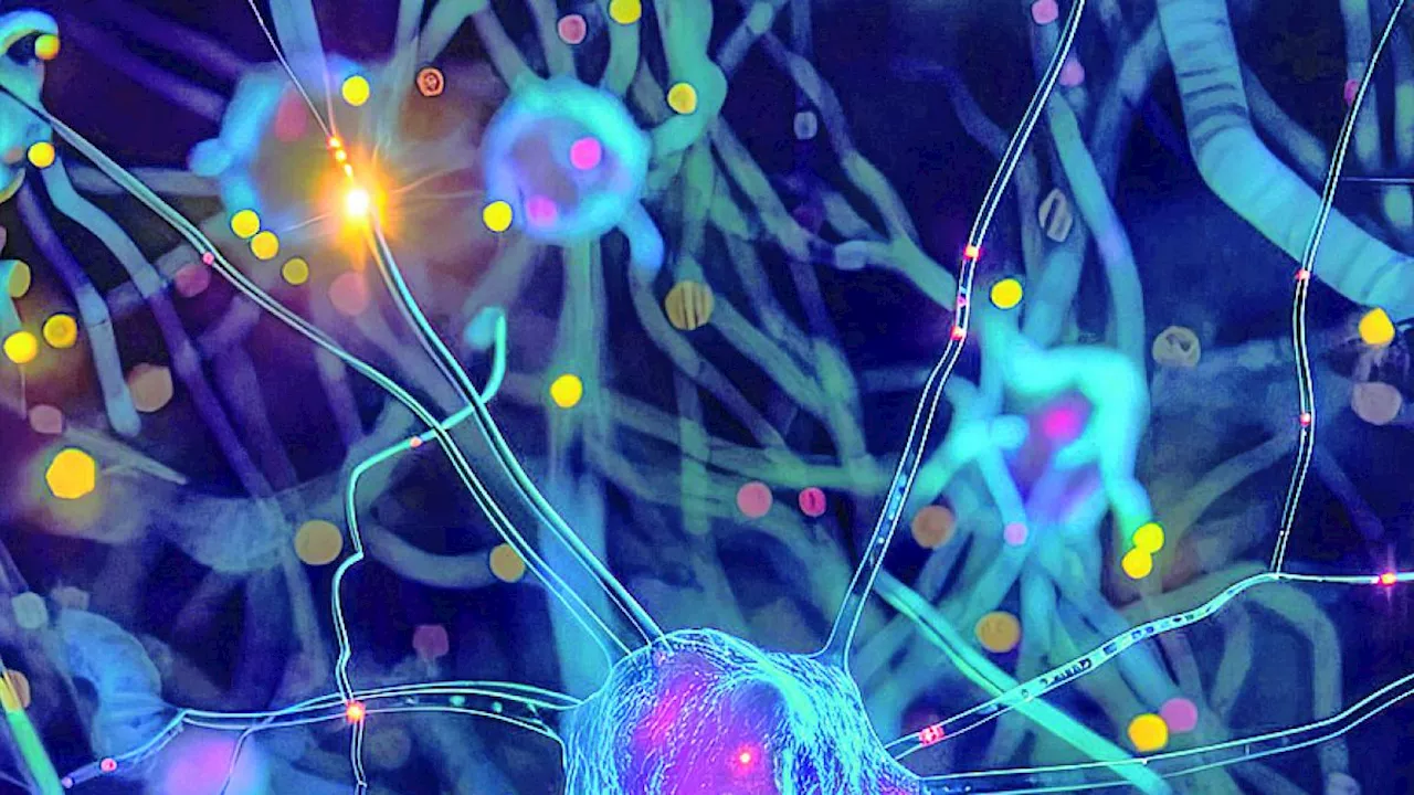 La fisica quantistica apre nuovi orizzonti alle neuroscienze