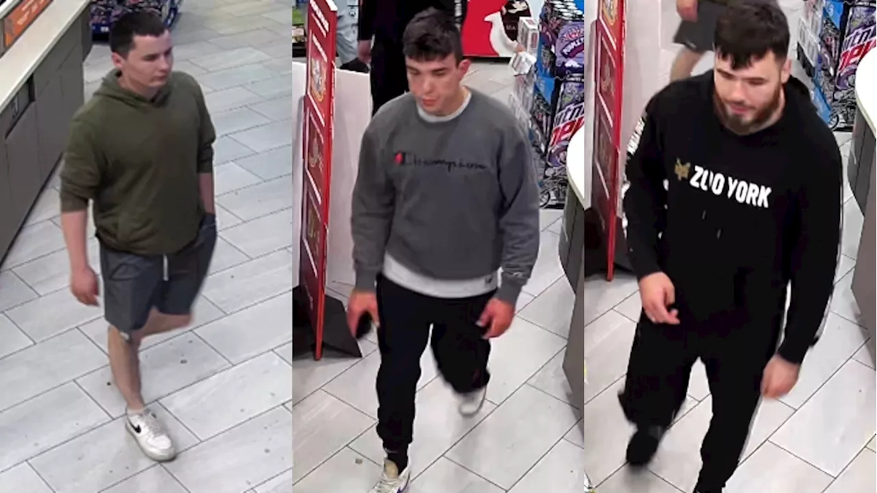 Violent Calgary assault leaves victim unconscious, suspects sought