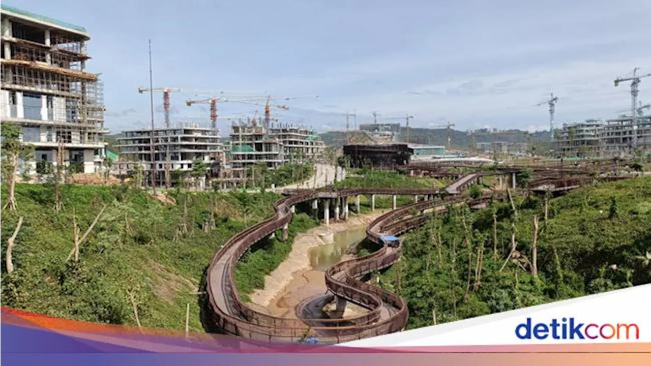 Satgas Sebut Pengerjaan Proyek di IKN Terhambat Hujan