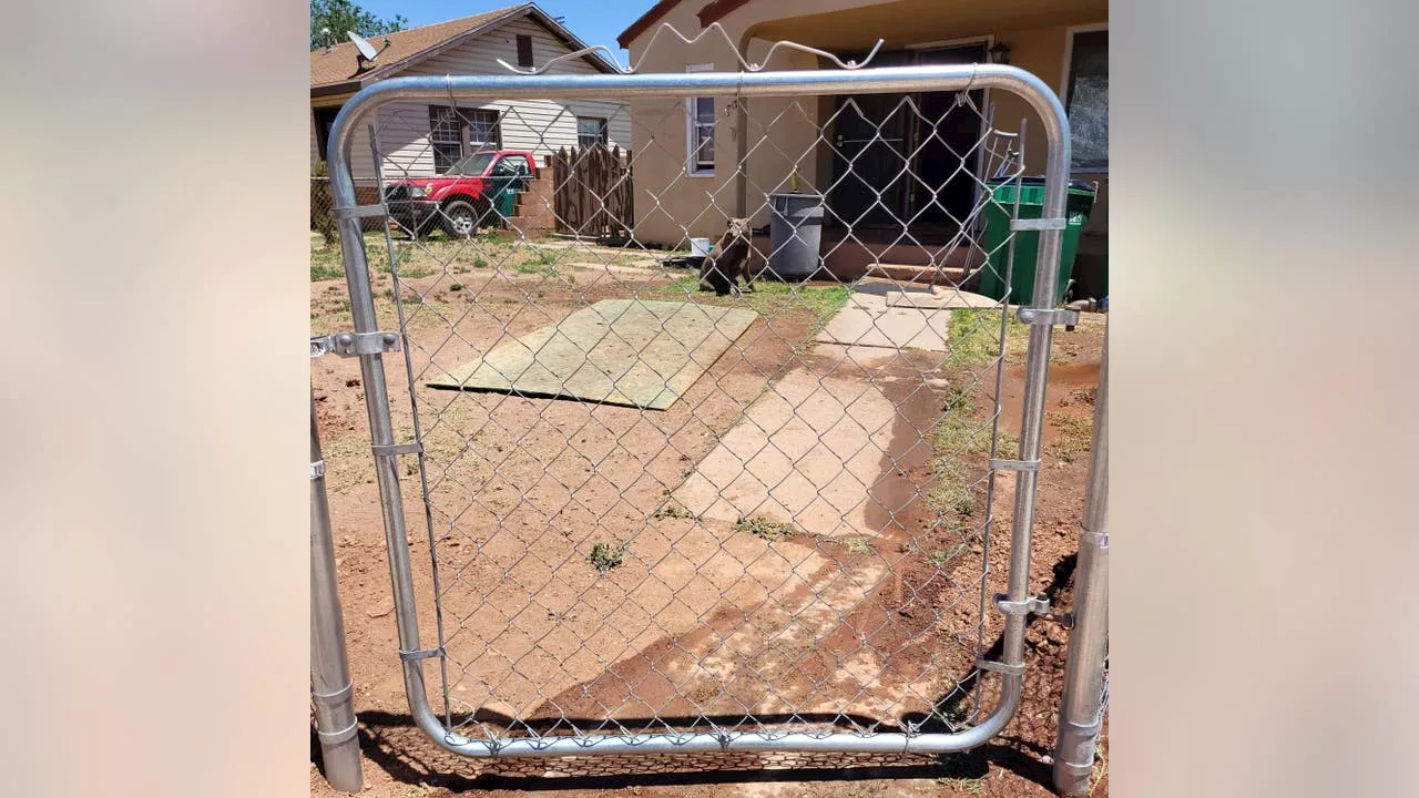 Arizona dog dragged by animal control officer has a new yard; county attorney declines prosecution