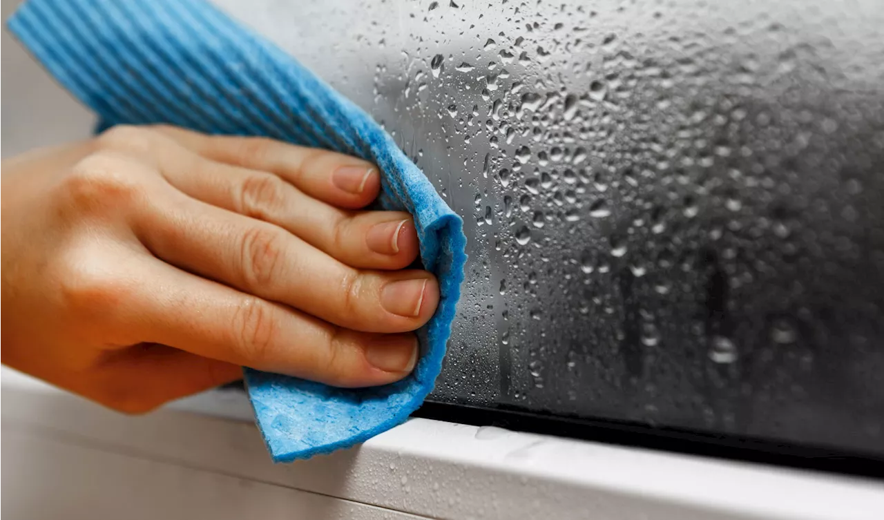 Erst Hitze, dann Gewitter: Diese Tricks schützen vor Schimmel bei zu hoher Luftfeuchtigkeit