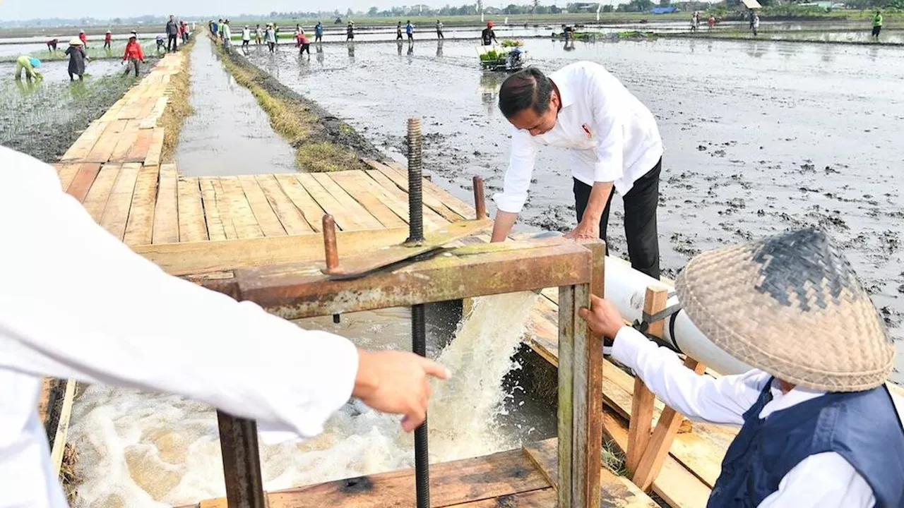 Program Pompanisasi untuk Antisipasi Kekeringan dan Dorong Produktivitas Pertanian