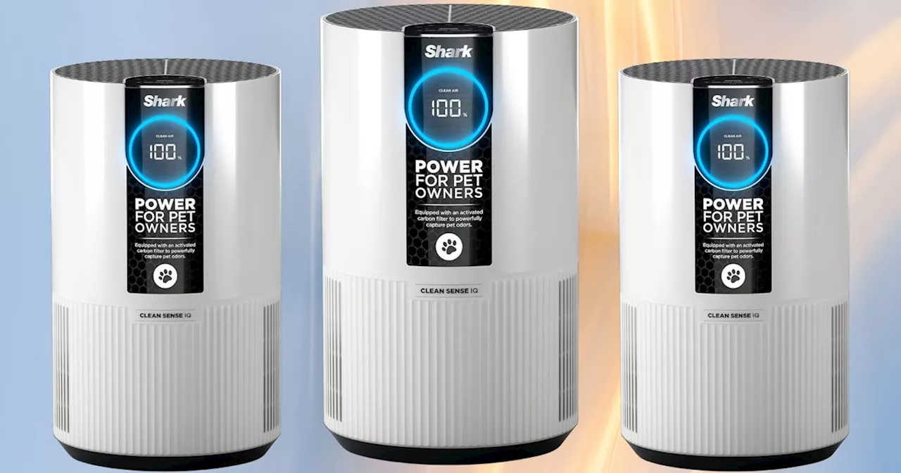 Users Say This Air Purifier Is 'Beyond Impressive' — And 50% Off At Amazon