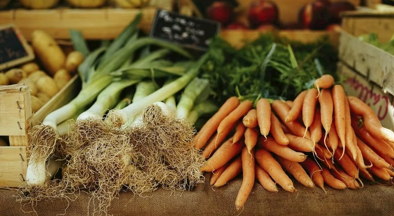 Dieta sana (ma costosa), i consigli della nutrizionista: «No alla carne rossa, meglio pasta e fagioli. Pesce 3