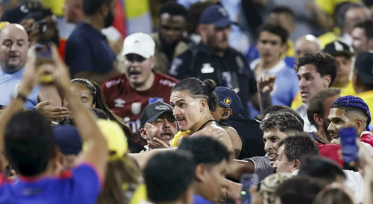 Uruguay-Colombia, rissa a fine partita in tribuna. Nunez si arrampica per difendere la famiglia