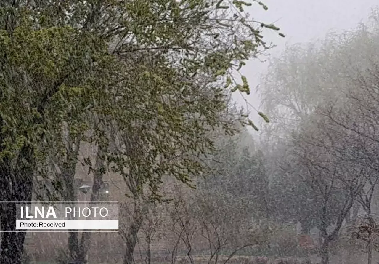 رگبار و رعد و برق در نوار شمالی کشور