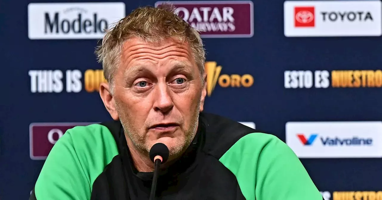 Heimir Hallgrimsson's co-manager at Iceland offers insight on new Ireland boss