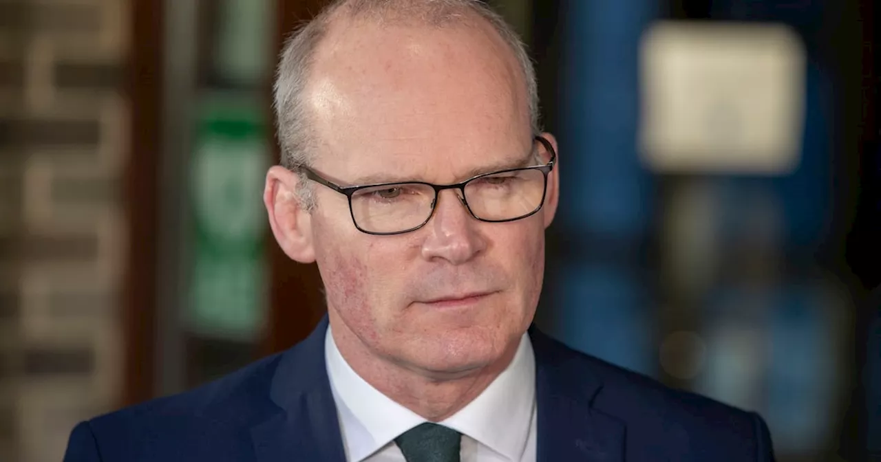 At least four Fine Gael politicians will seek place on ticket in bid to retain Dáil seat vacated by Coveney