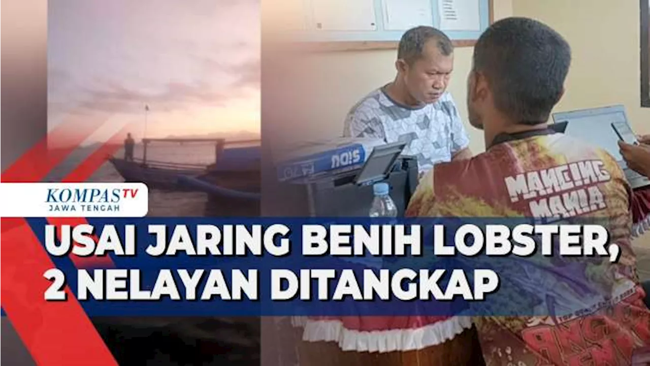 Usai Jaring Benih Bening Lobster di Kulon Progo, 2 Nelayan Ditangkap