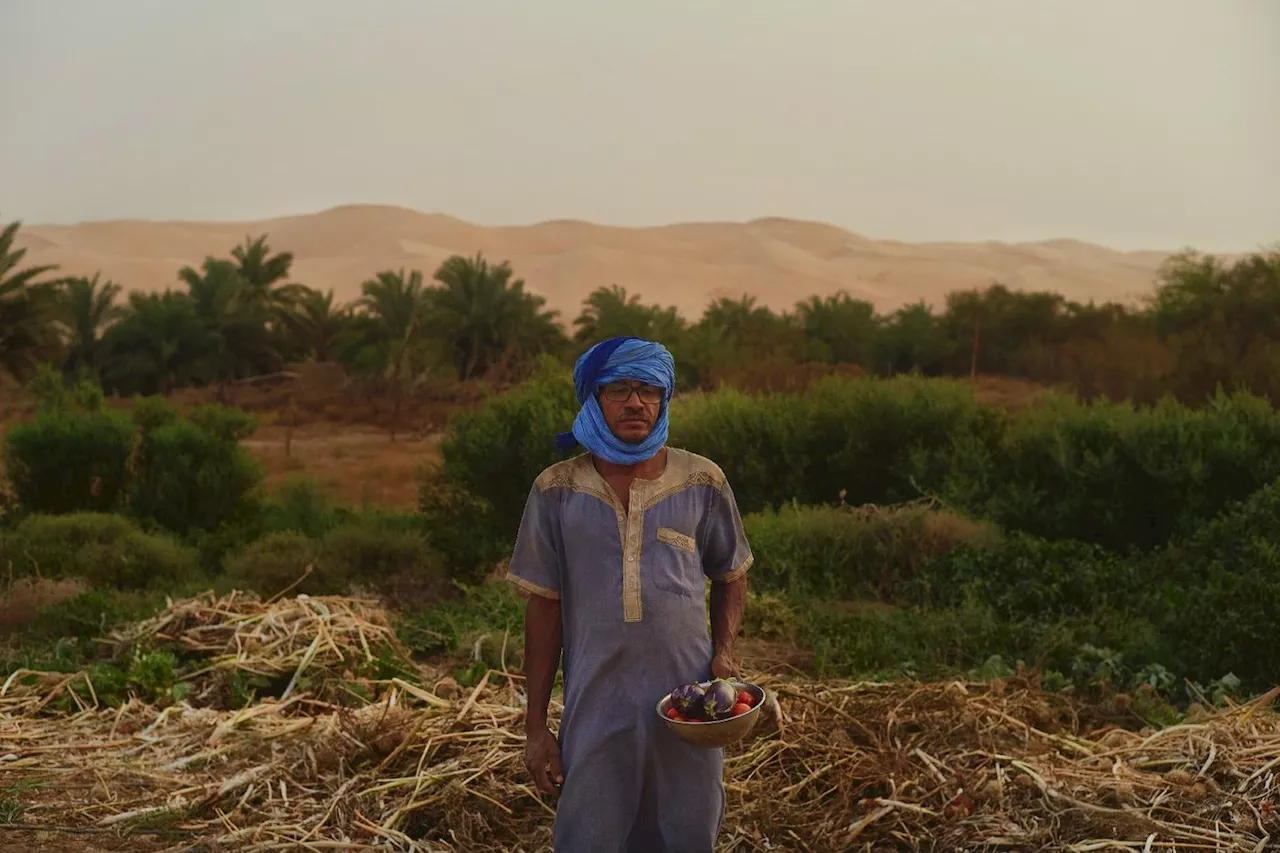 Entre dunes et montagne de Mauritanie, l'oasis de Maaden, utopie fraternelle