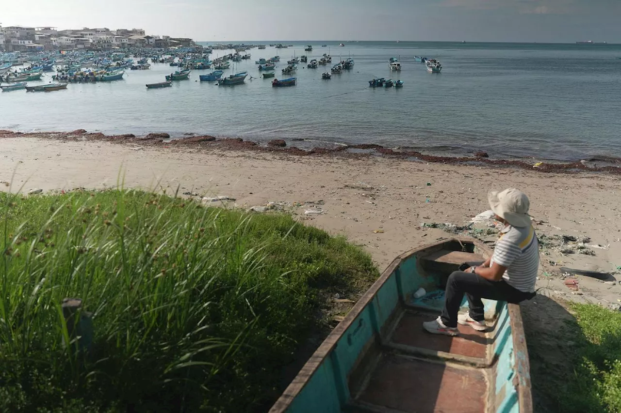 «Si tu protestes, tu meurs»: en Equateur, les pêcheurs sous la coupe des narcos