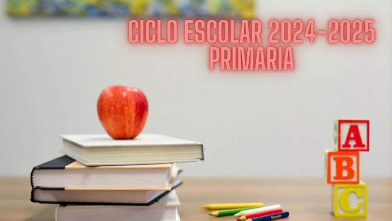 SEP: ¿Cuándo salen los resultados de primaria del Ciclo Escolar 2024