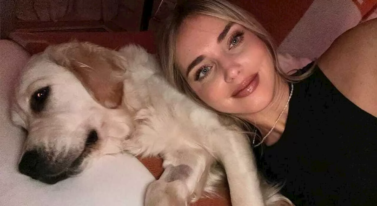 Chiara Ferragni, la festa (da sola) per il primo compleanno del labrador Paloma. Follower scatenati: «Quel can