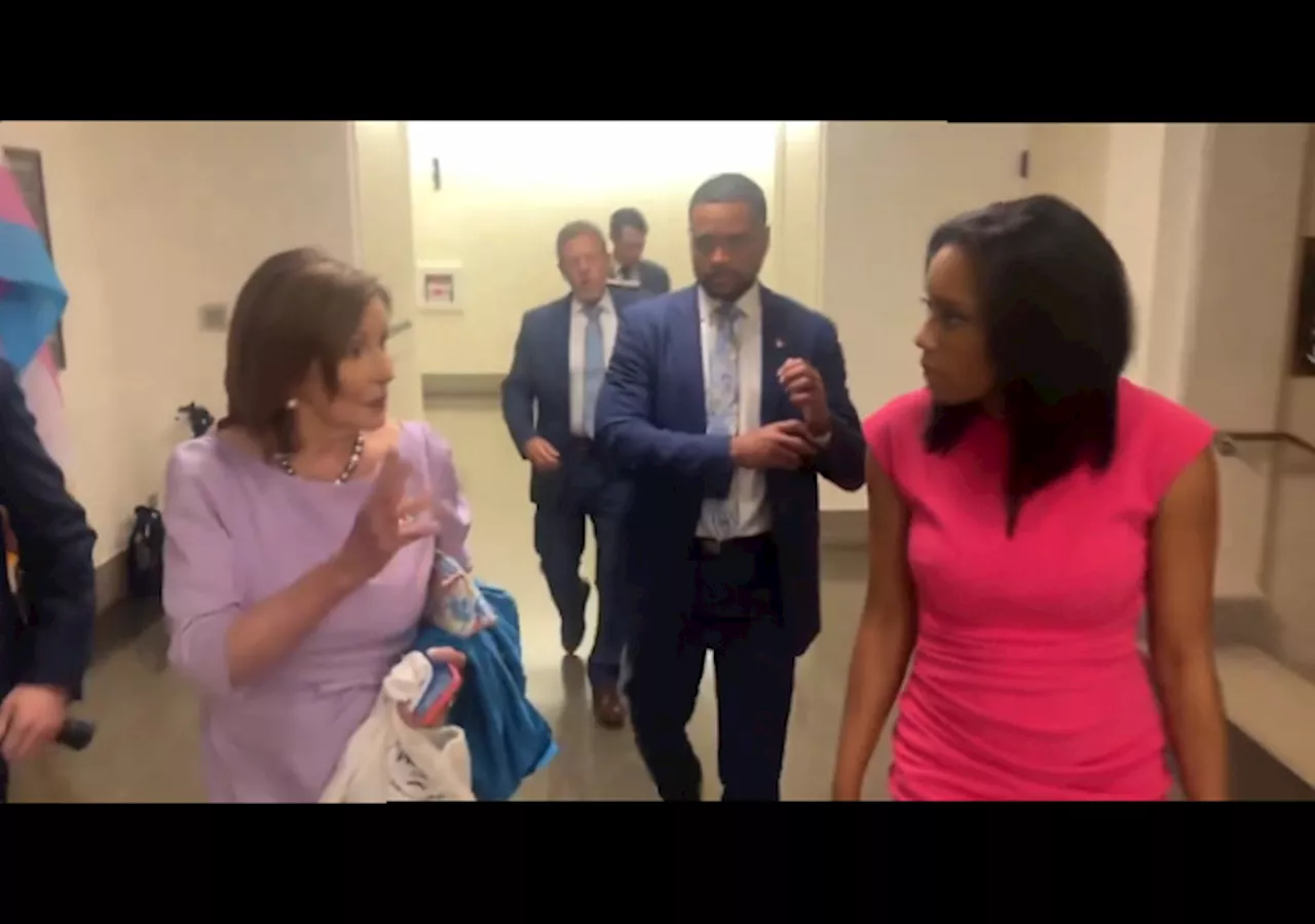 Nancy Pelosi Chides ABC Reporter Over Biden Question: ‘Am I Speaking English to You?’