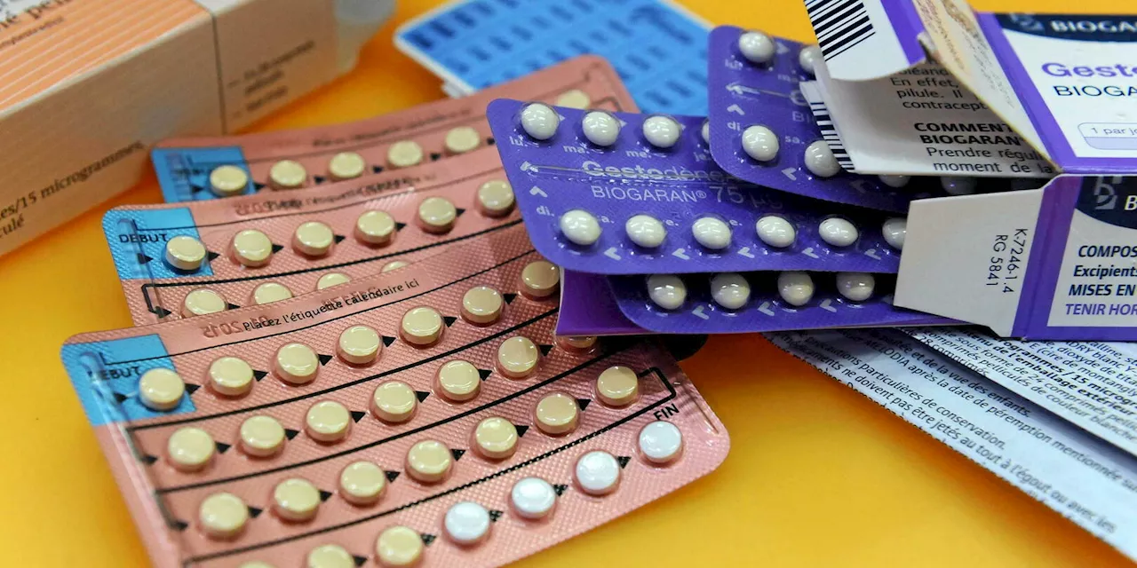 Lapins, suffragette et ruses : comment Gregory Pincus a conçu la pilule contraceptive