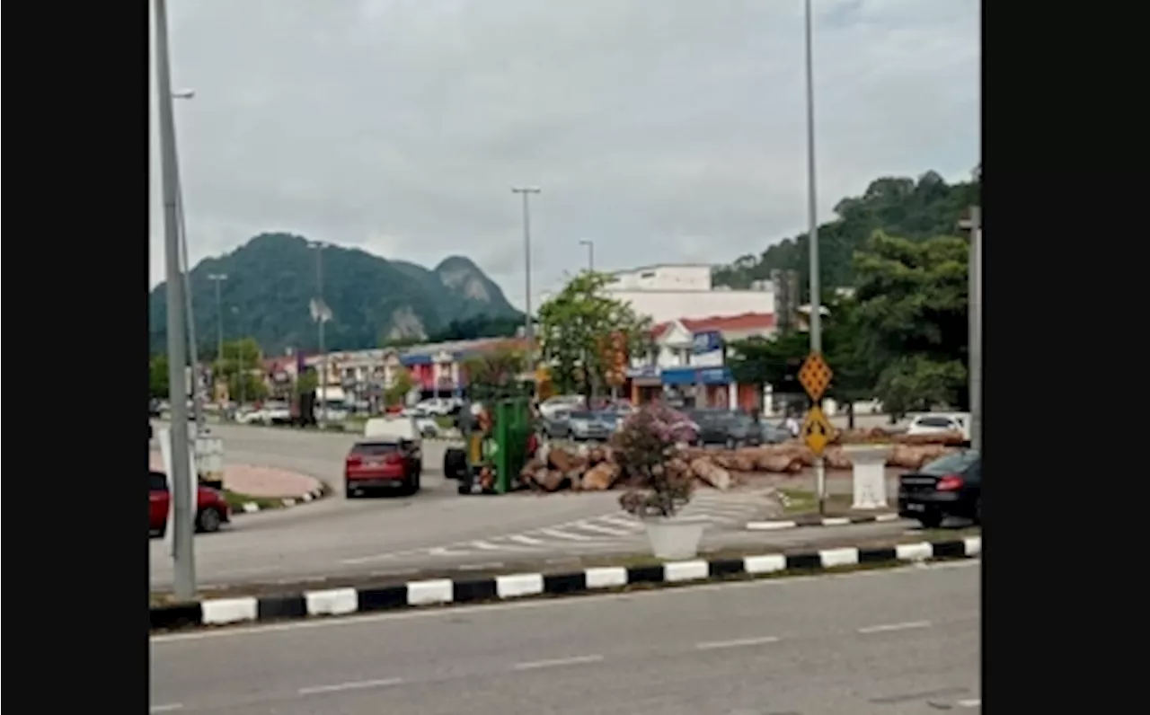 Gua Musang police: Driver of overturned log-laden lorry has no licence