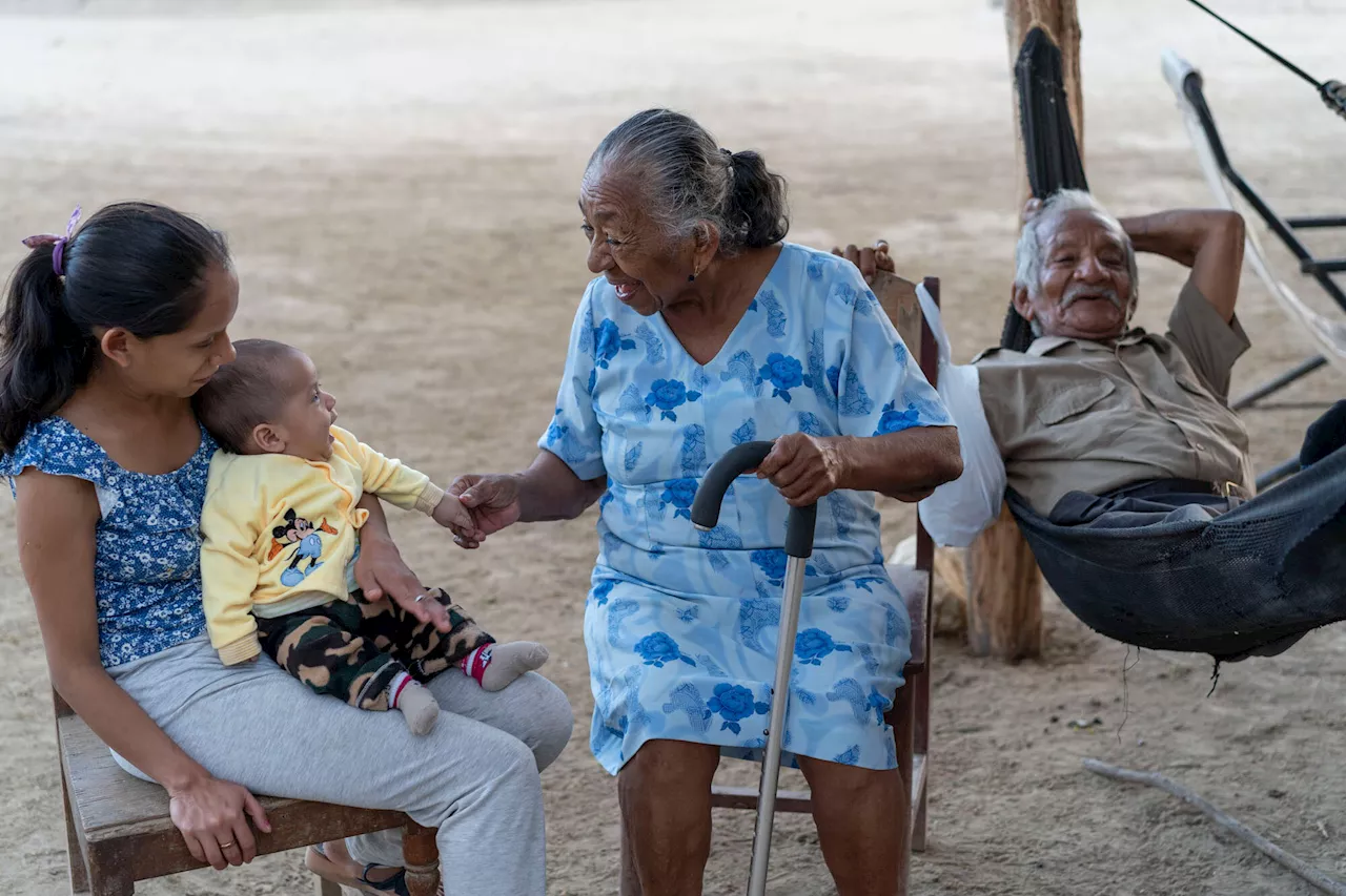 Racial disparities in dementia determined by social factors rather than genetic ancestry, finds study