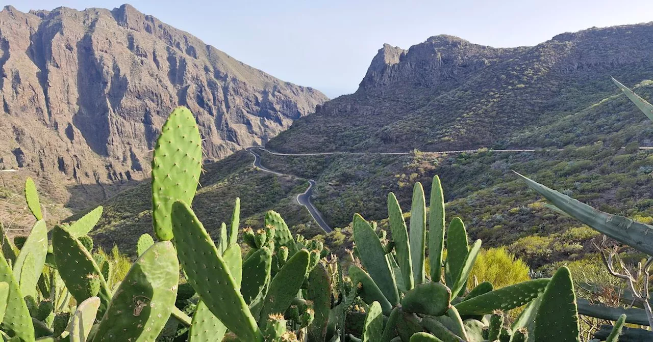 As Jay Slater's family desperately wait, Parc de Teno is once again a magnet