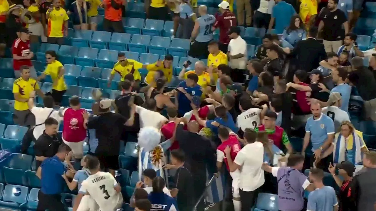 Los jugadores de Uruguay terminaron en la tribuna y a las piñas con hinchas de Colombia